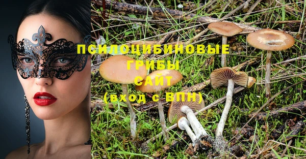 дмт Лихославль