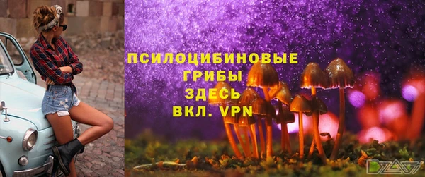дмт Лихославль