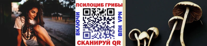 Купить закладки  Шарья  Галлюциногенные грибы мухоморы 