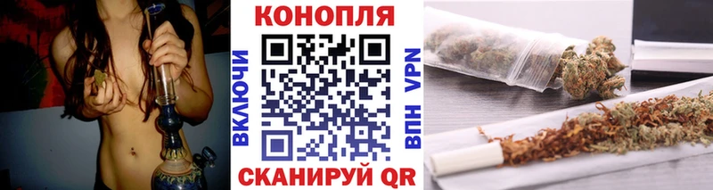 Купить где  Шарья  Конопля OG Kush 